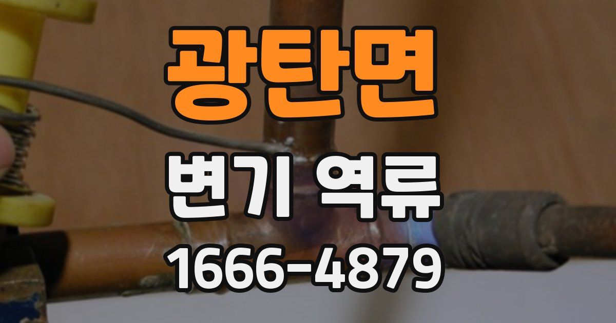 광탄면 변기 역류