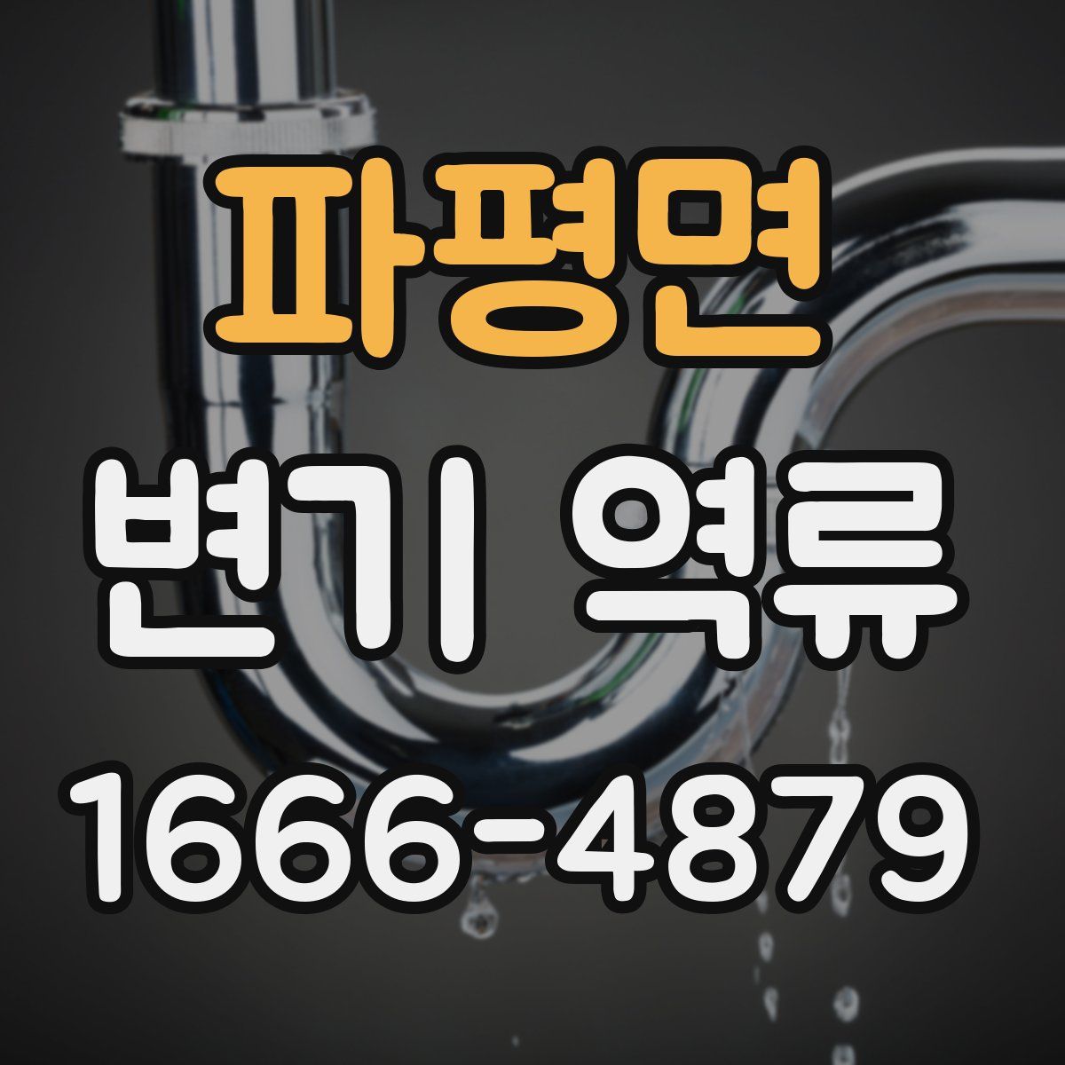파평면 변기 역류
