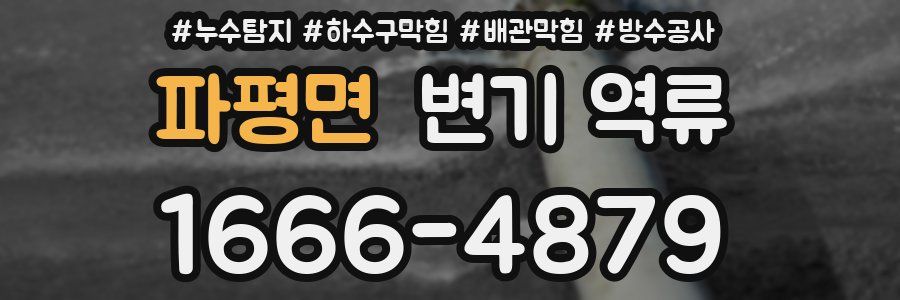 파평면 변기 역류