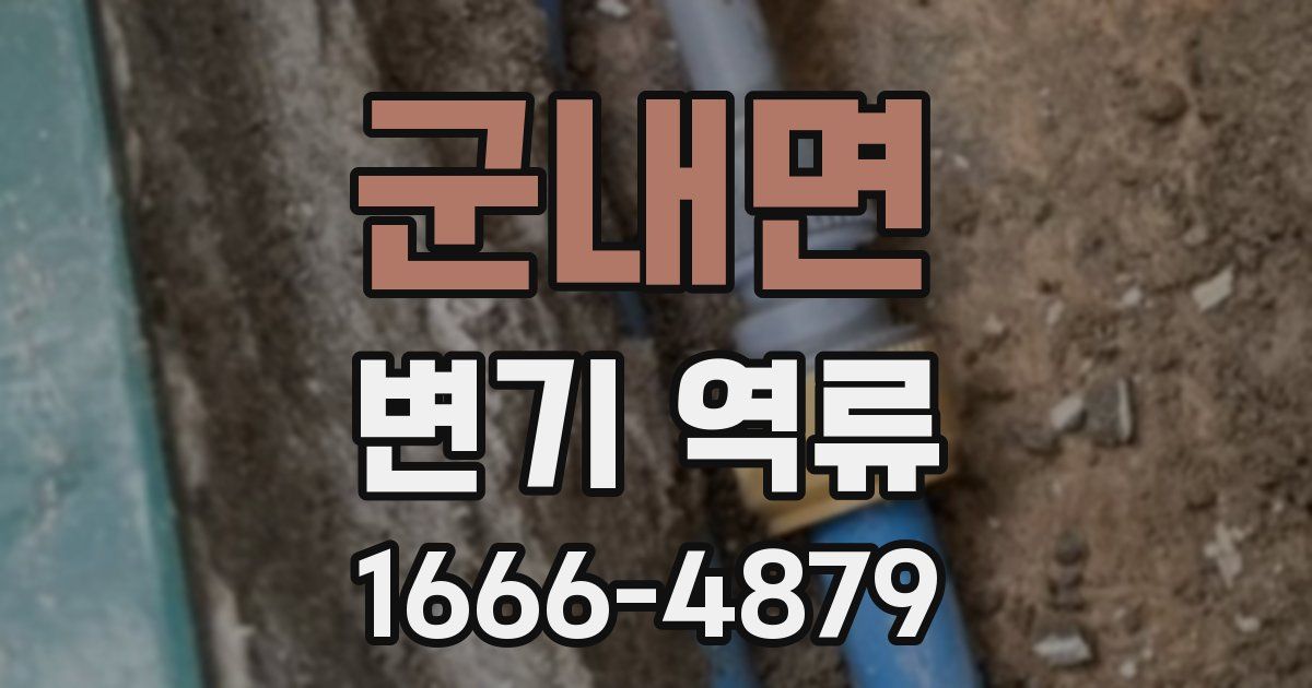 군내면 변기 역류