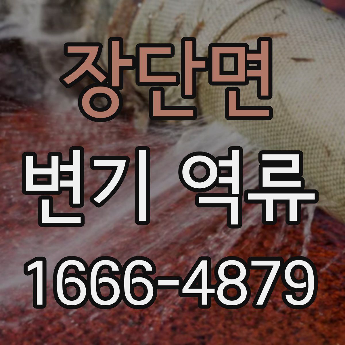 장단면 변기 역류