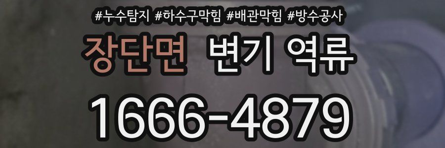 장단면 변기 역류