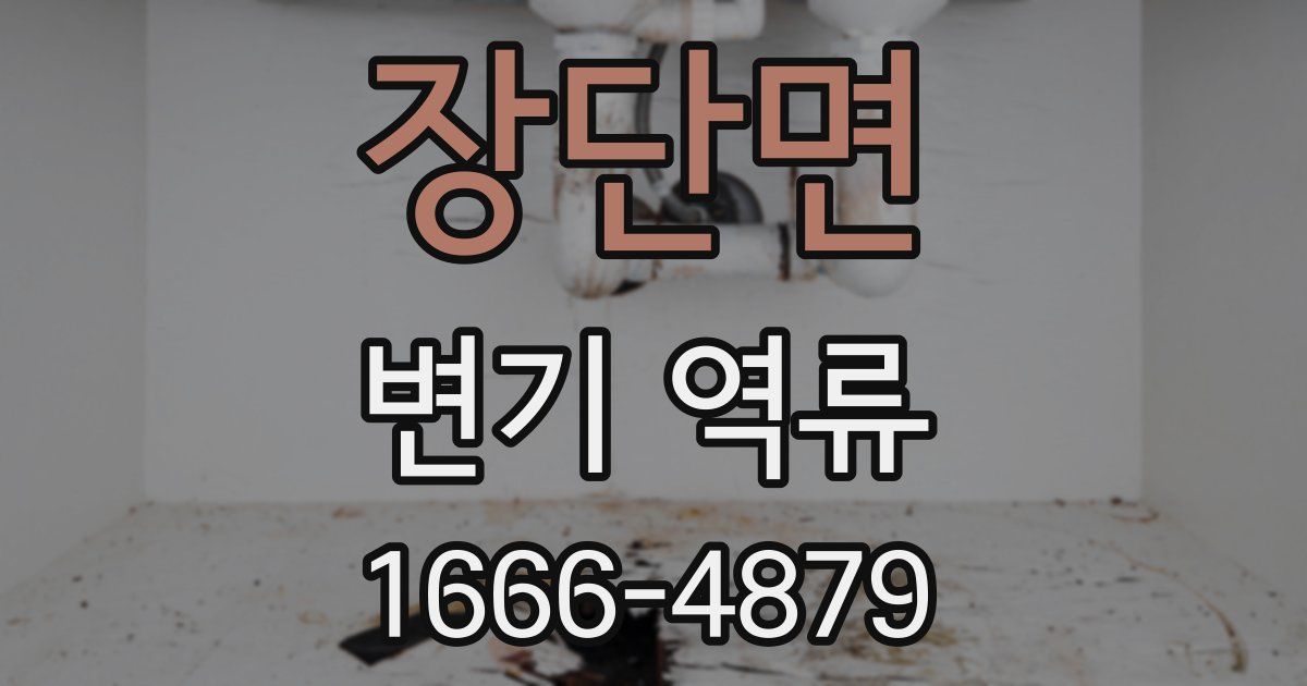 장단면 변기 역류