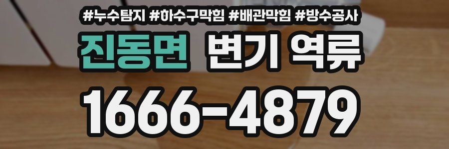 진동면 변기 역류
