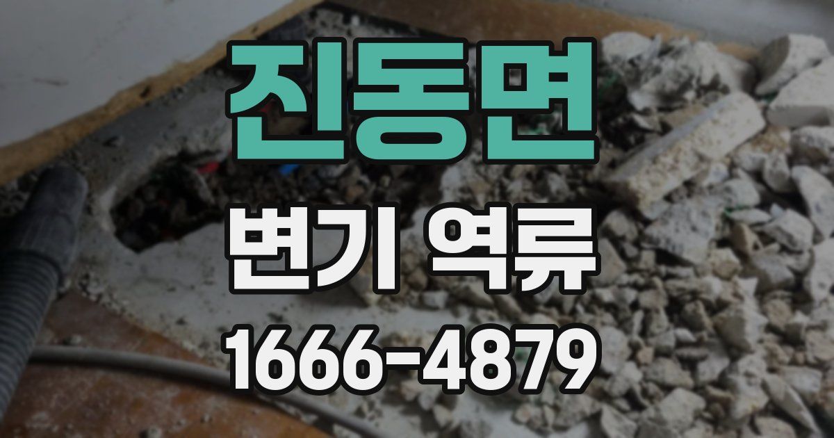 진동면 변기 역류