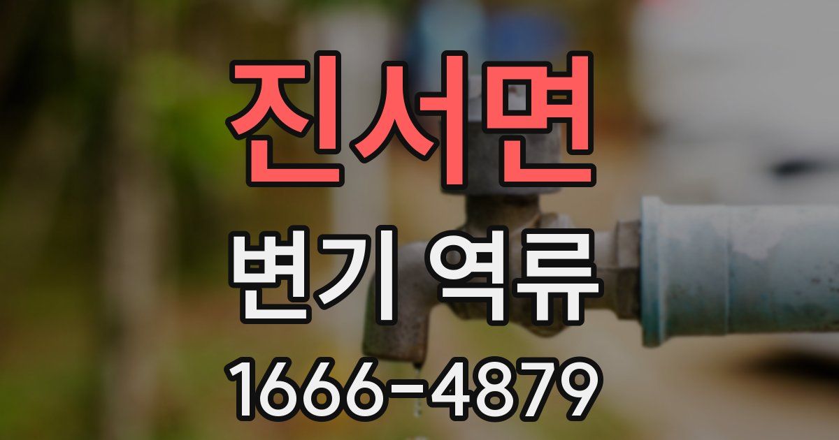 진서면 변기 역류