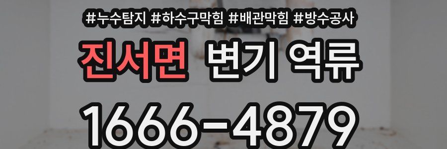 진서면 변기 역류