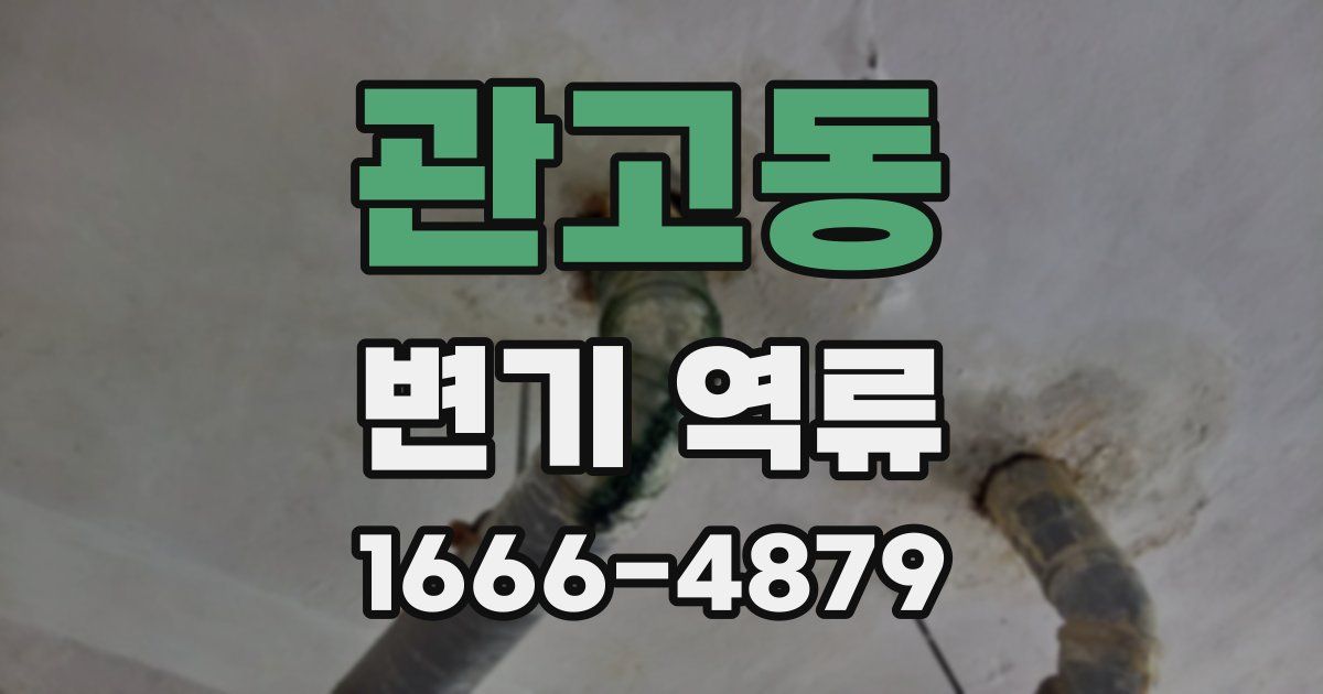 관고동 변기 역류