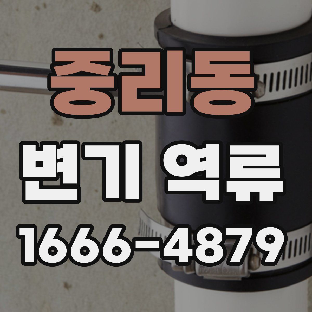 중리동 변기 역류