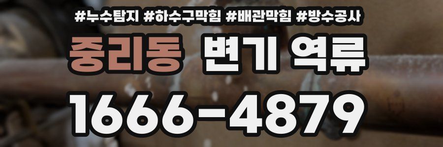 중리동 변기 역류