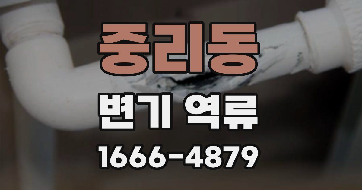 중리동 변기 역류