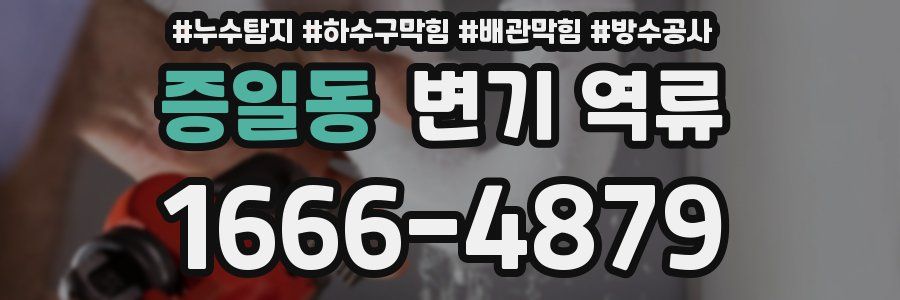증일동 변기 역류