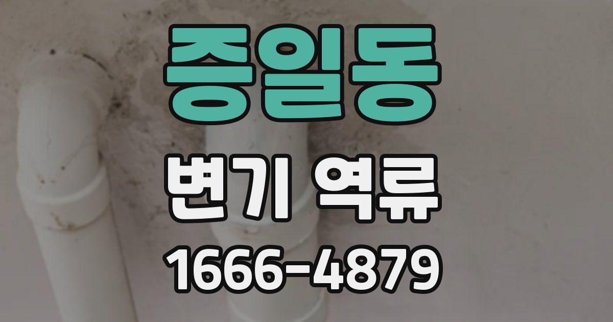 증일동 변기 역류