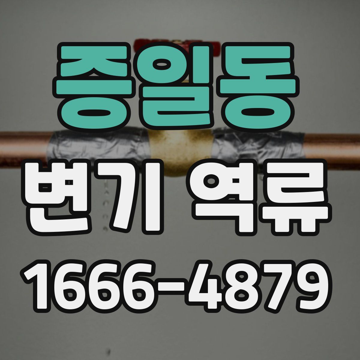 증일동 변기 역류