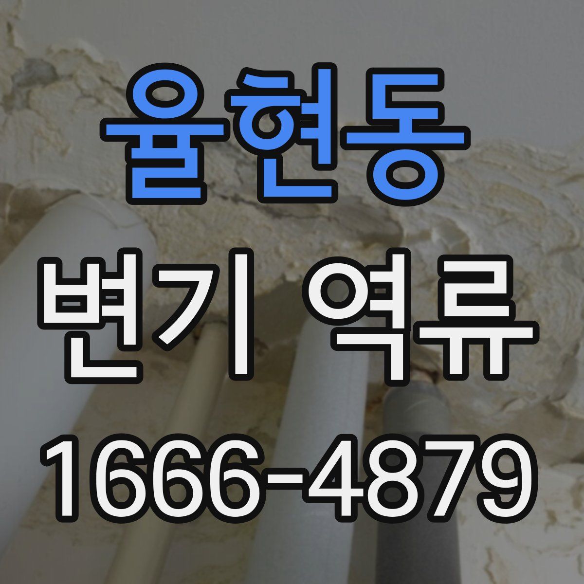 율현동 변기 역류