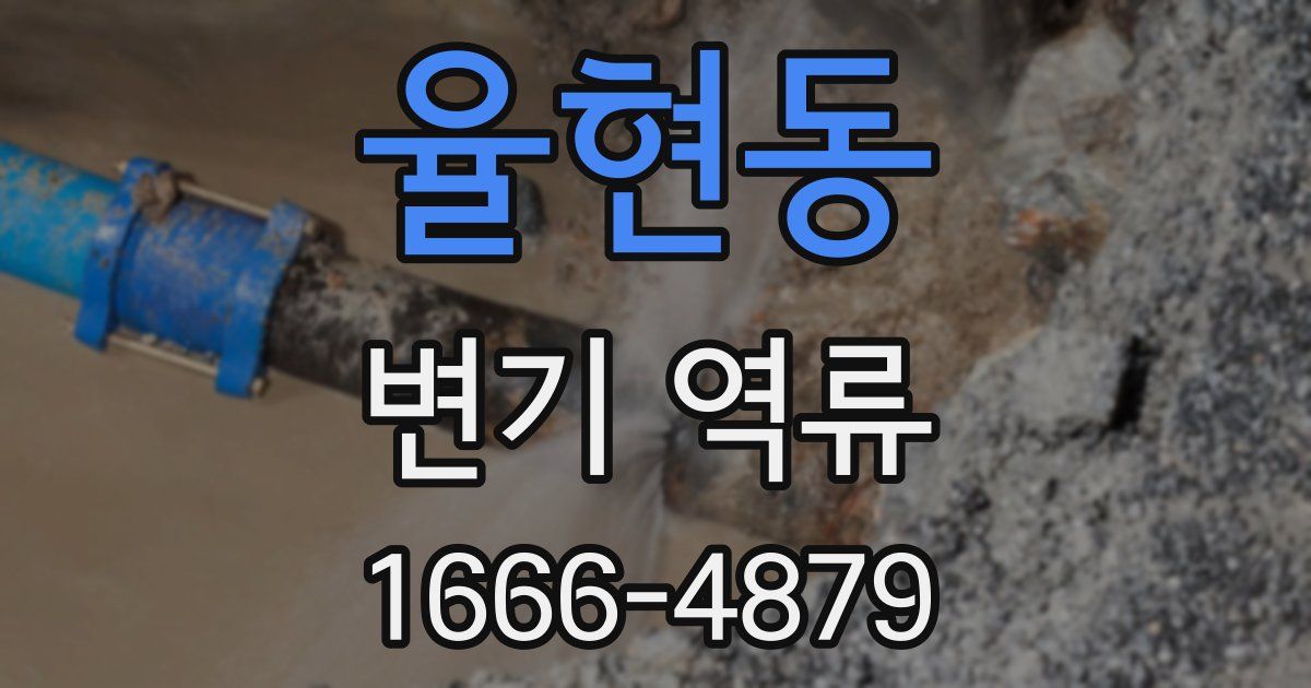 율현동 변기 역류