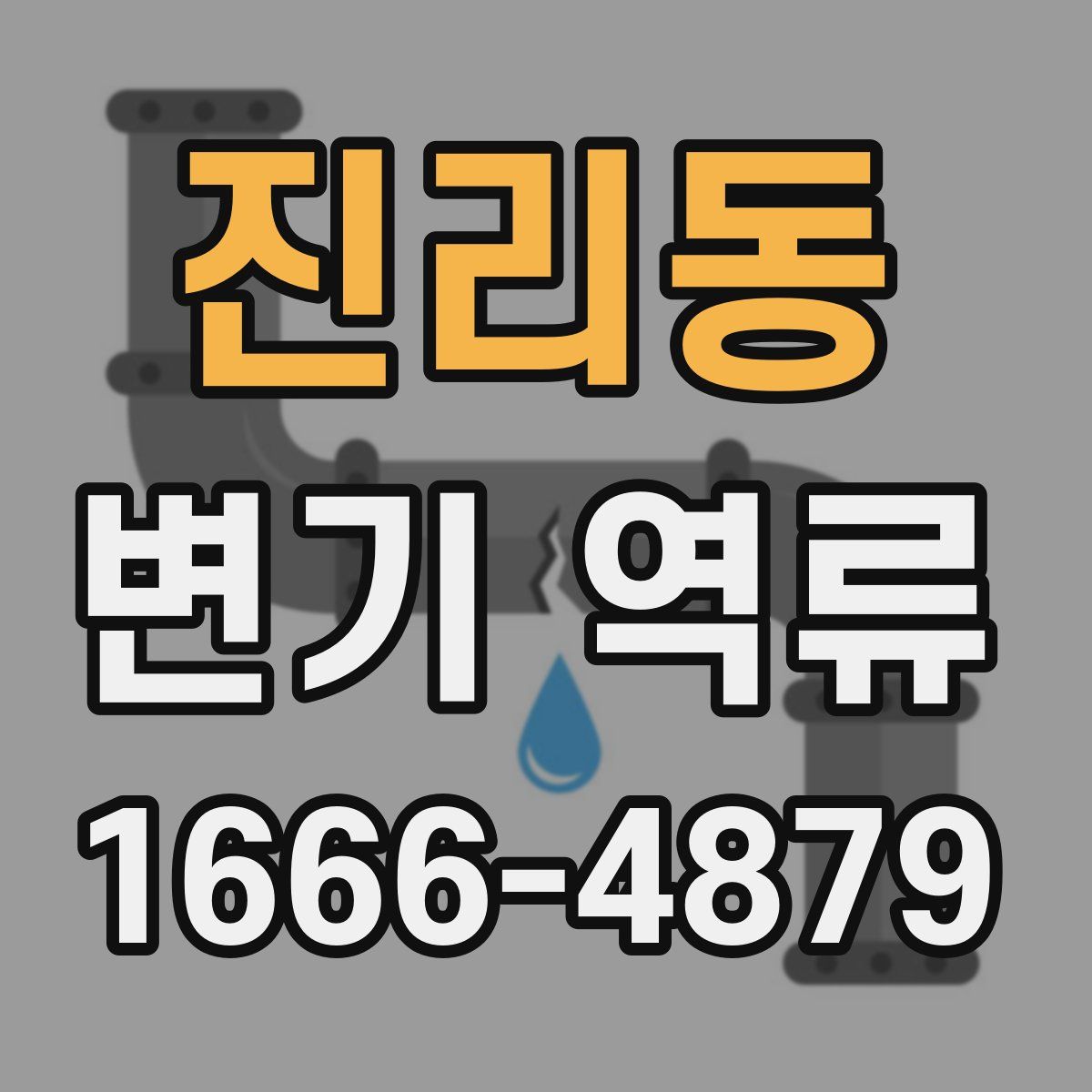 진리동 변기 역류