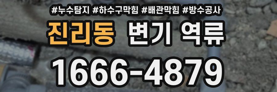 진리동 변기 역류