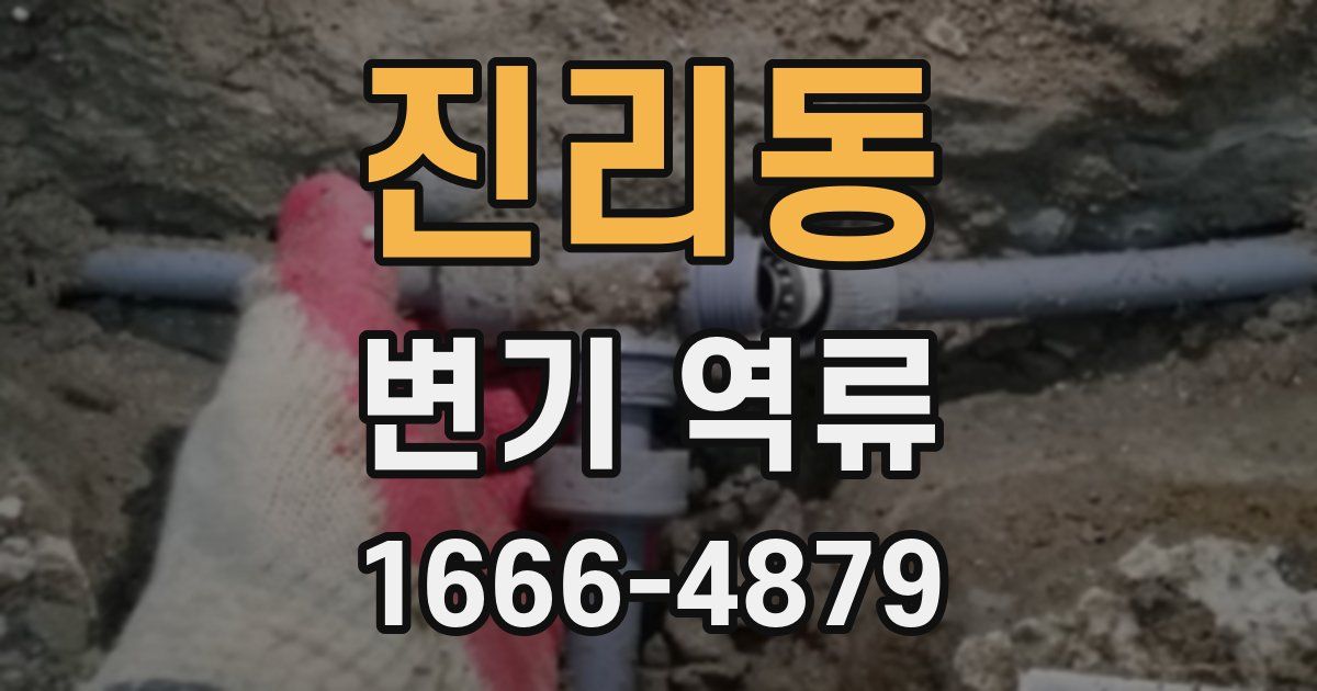 진리동 변기 역류