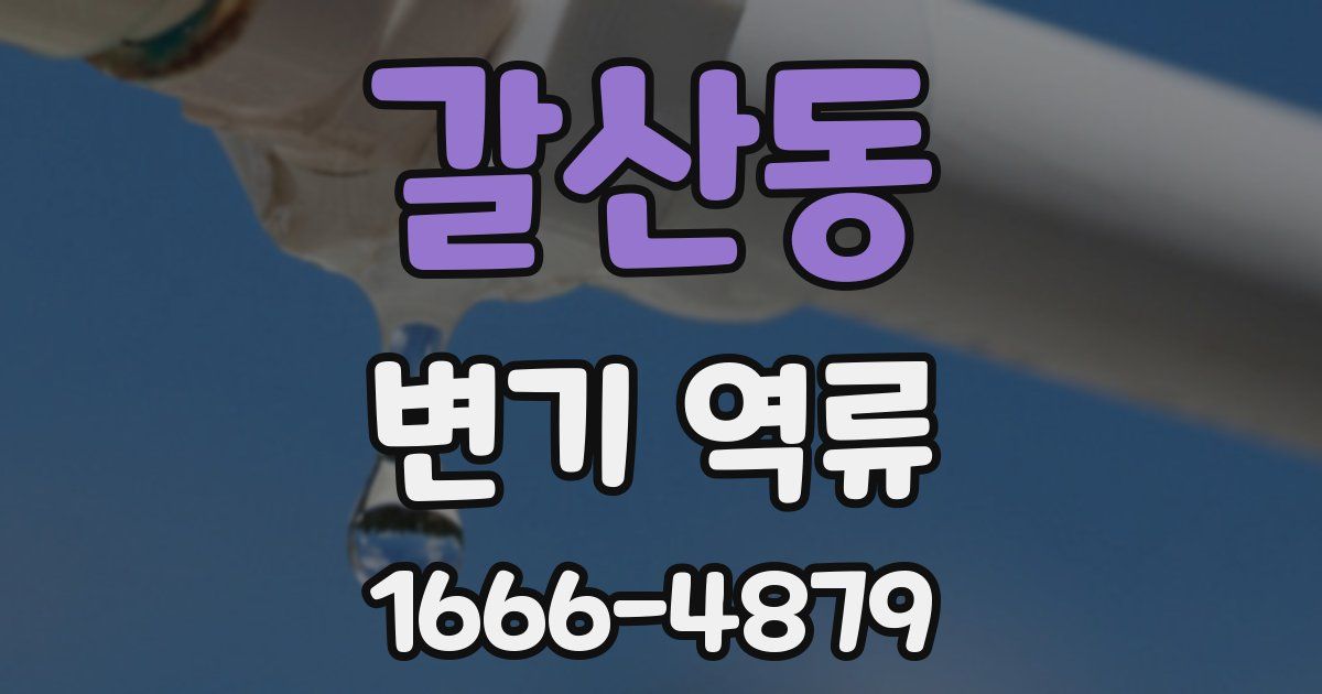 갈산동 변기 역류