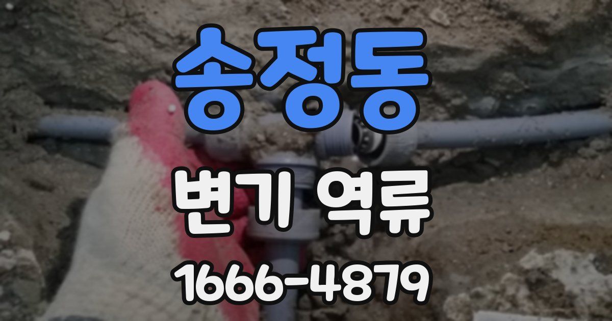 송정동 변기 역류
