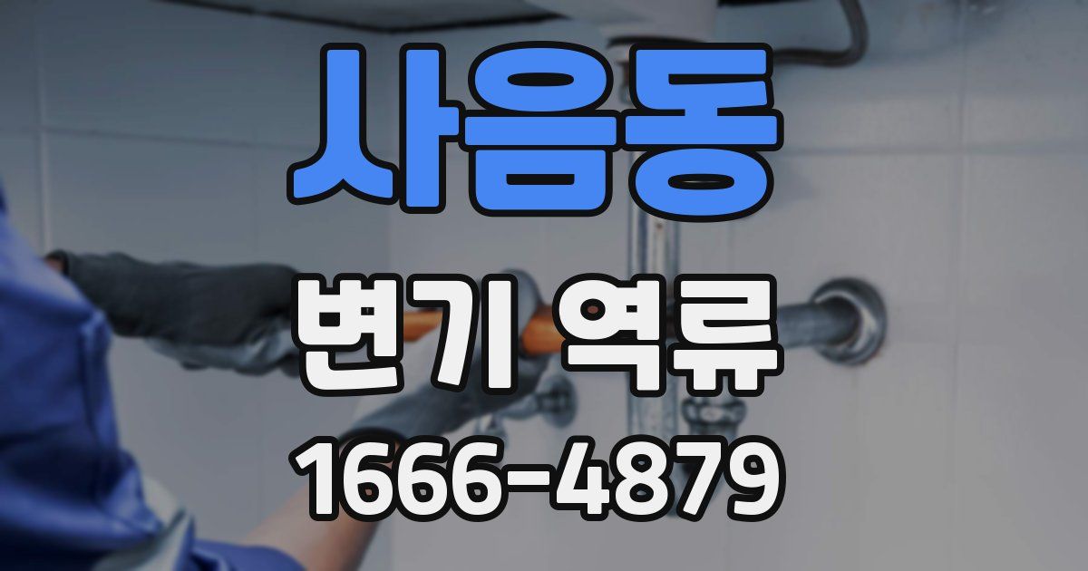 사음동 변기 역류