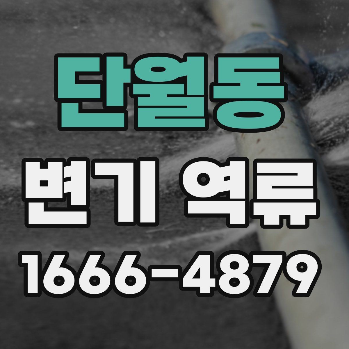 단월동 변기 역류 사용량이 늘면 생길 수 있는 변화