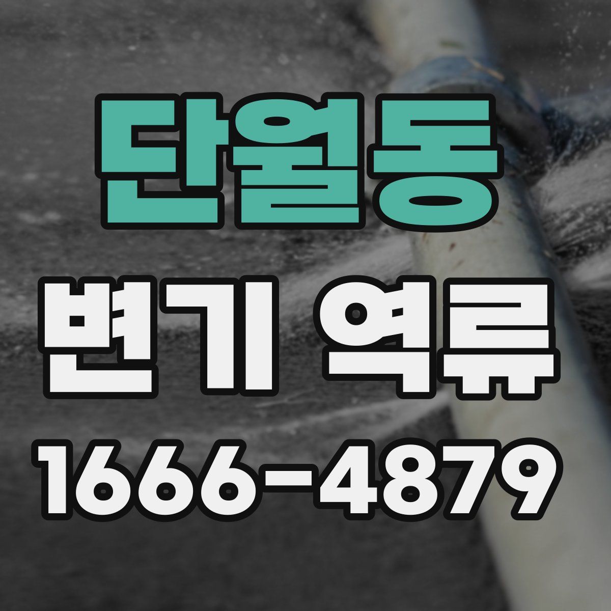 단월동 변기 역류