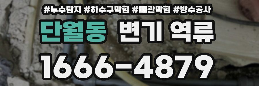 단월동 변기 역류