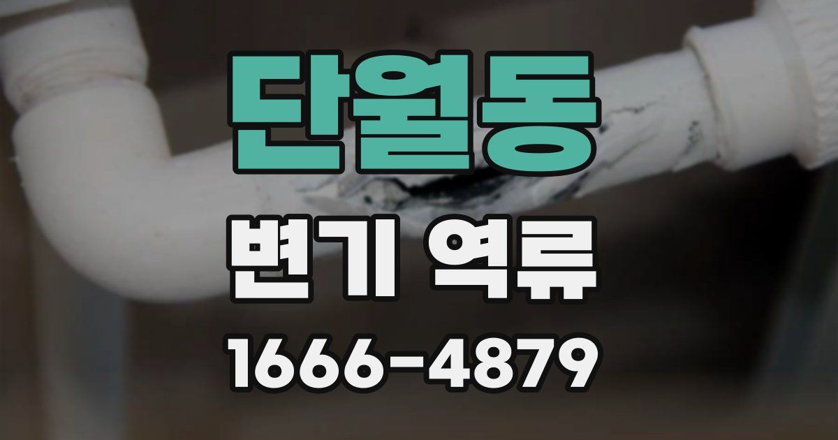 단월동 변기 역류