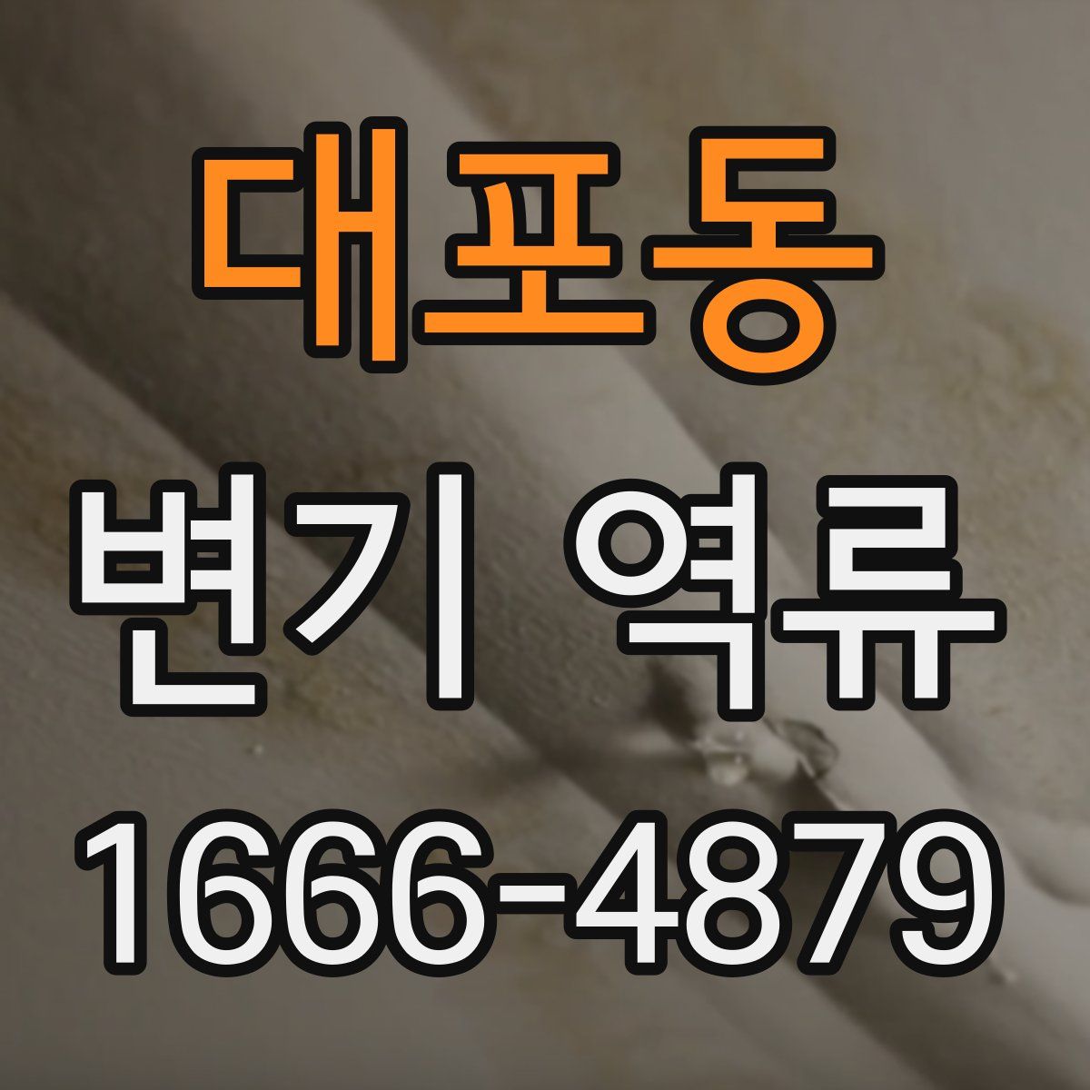 대포동 변기 역류