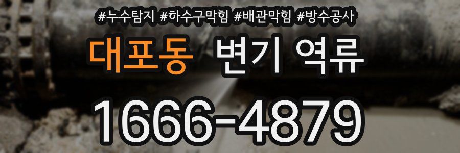 대포동 변기 역류