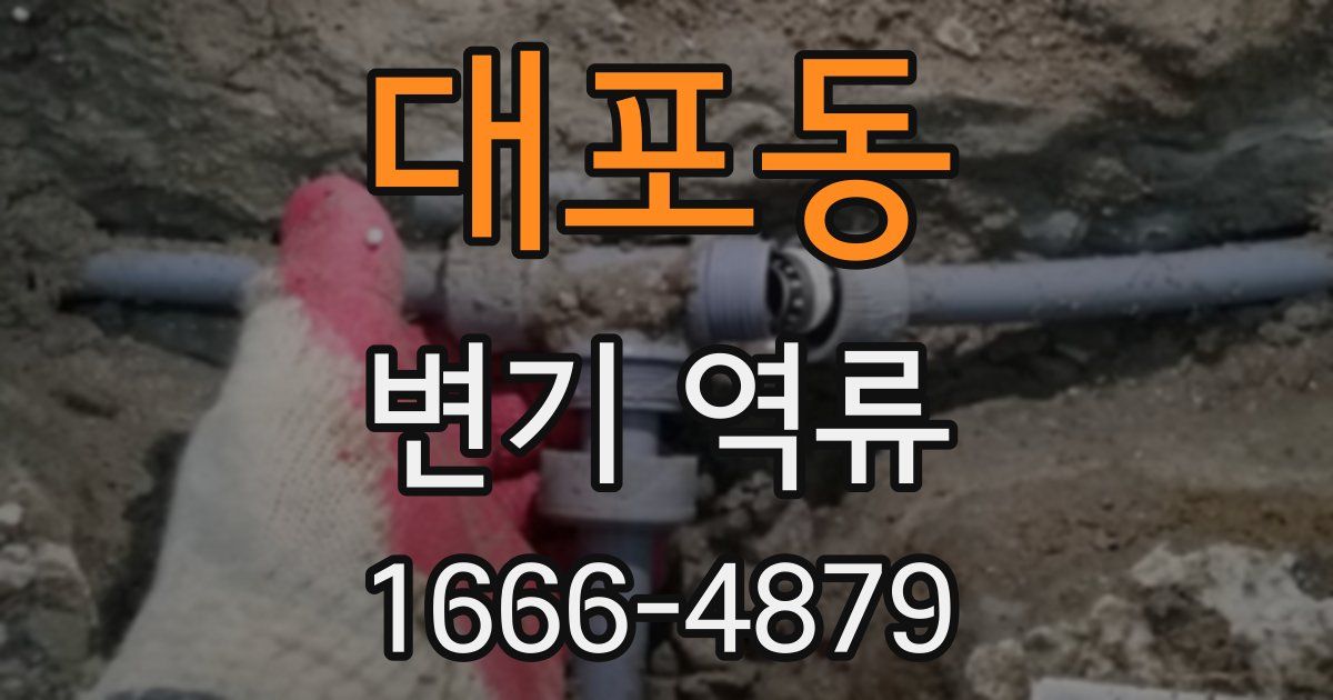 대포동 변기 역류