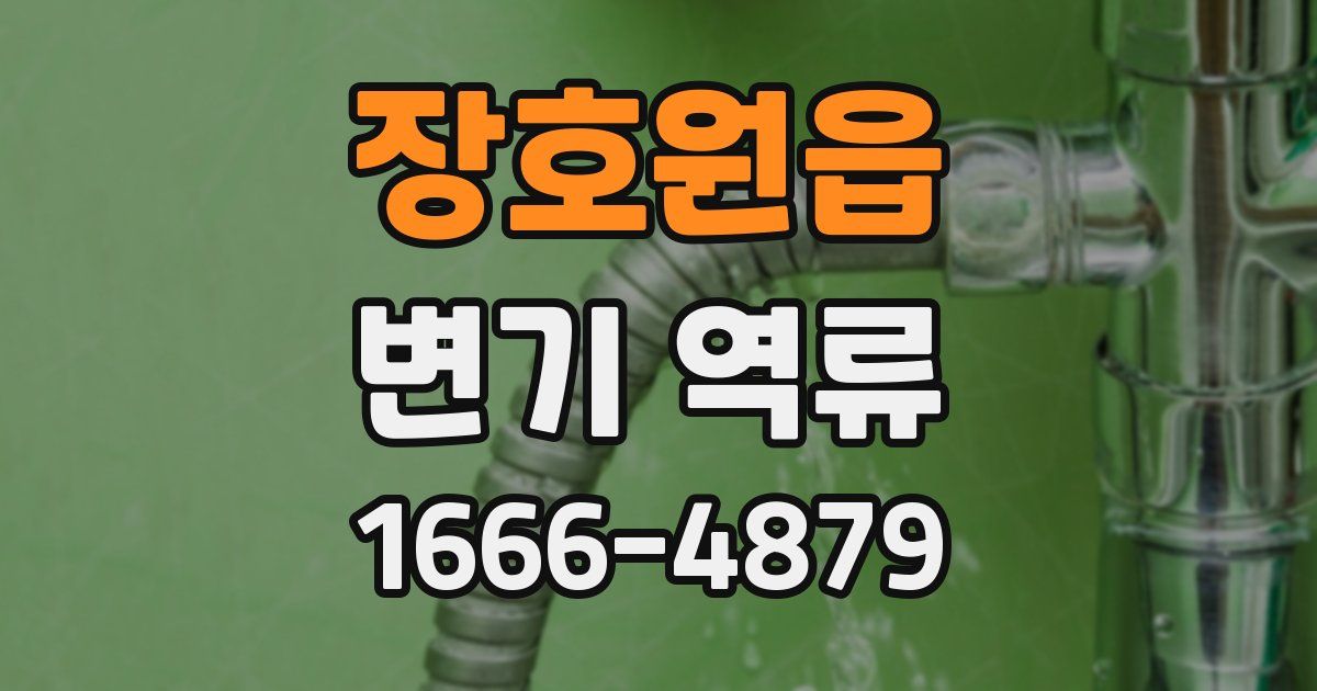 장호원읍 변기 역류