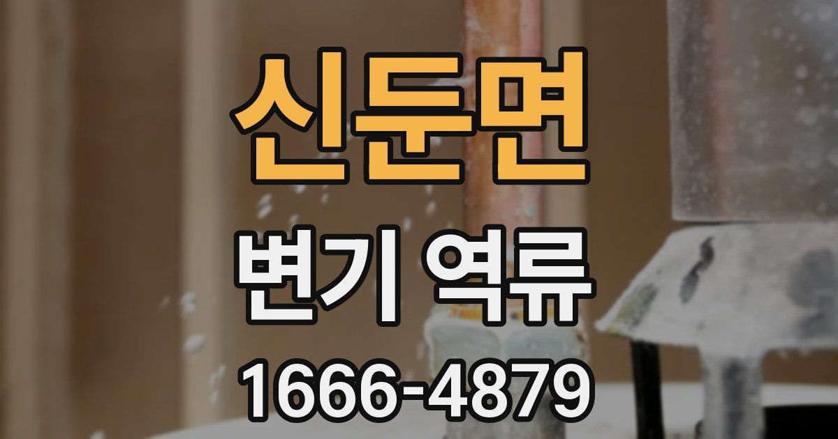 신둔면 변기 역류