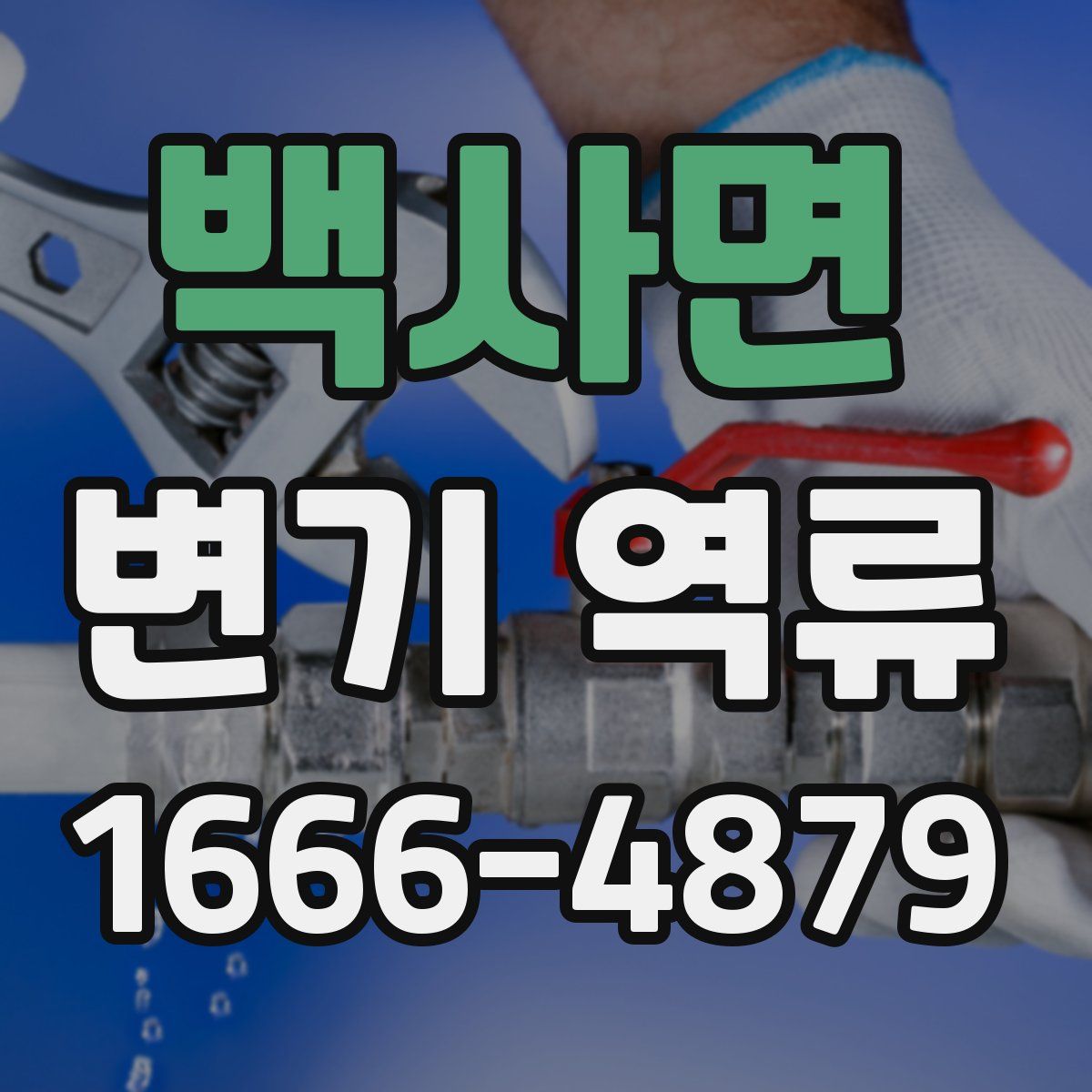 백사면 변기 역류