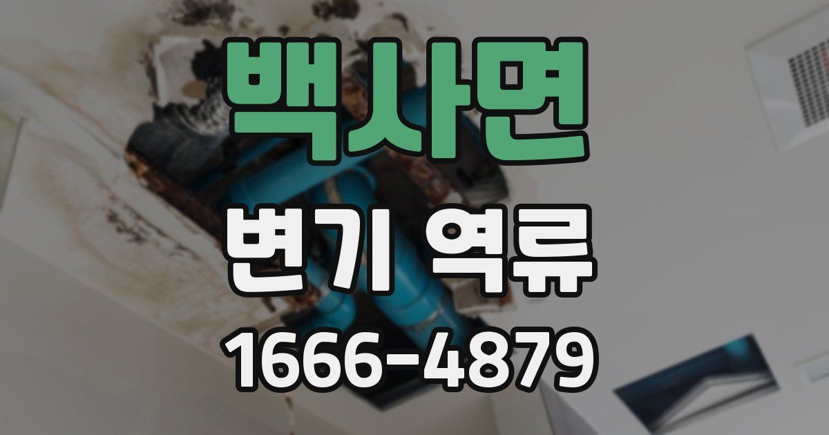 백사면 변기 역류