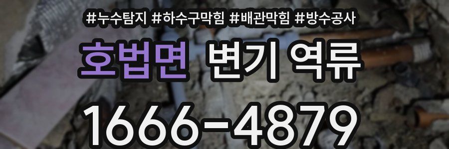 호법면 변기 역류