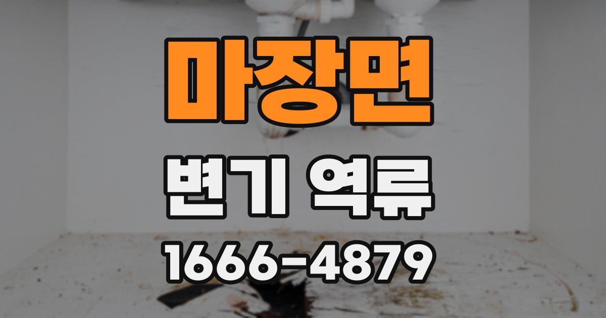 마장면 변기 역류
