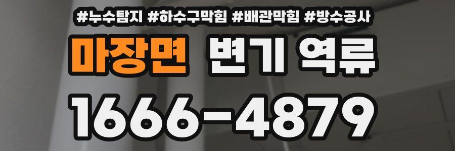 마장면 변기 역류