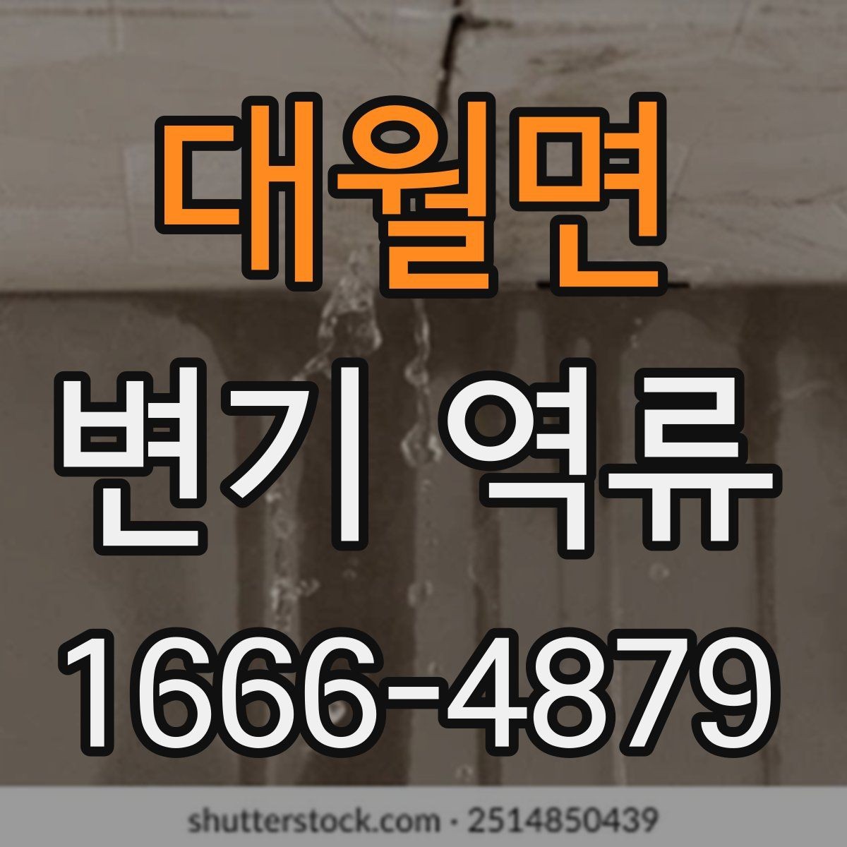 대월면 변기 역류 예방과 관리에 필요한 정보