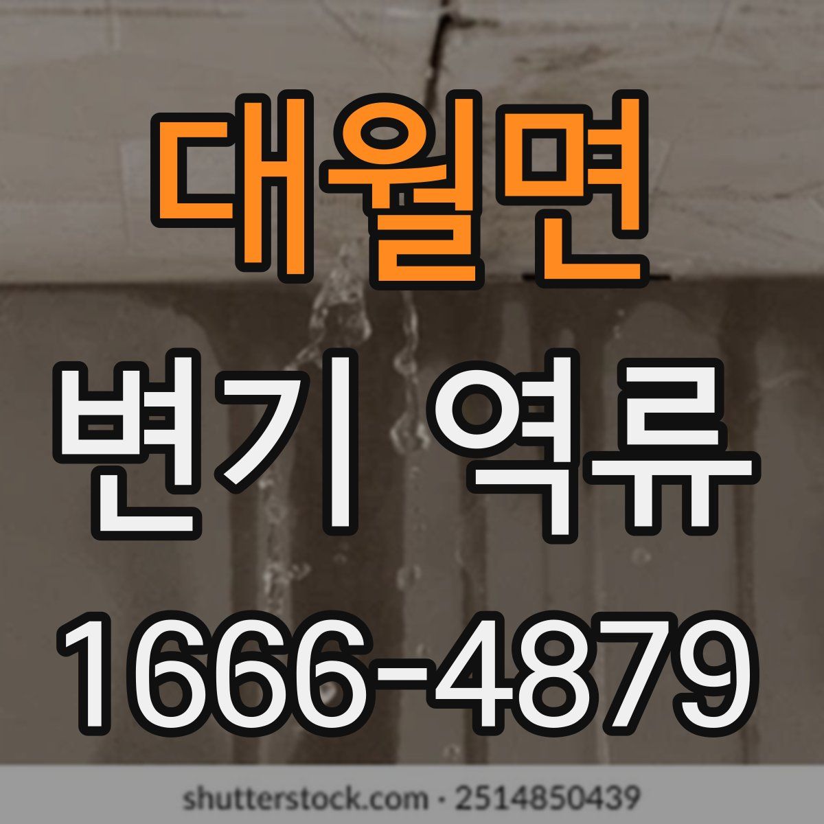 대월면 변기 역류