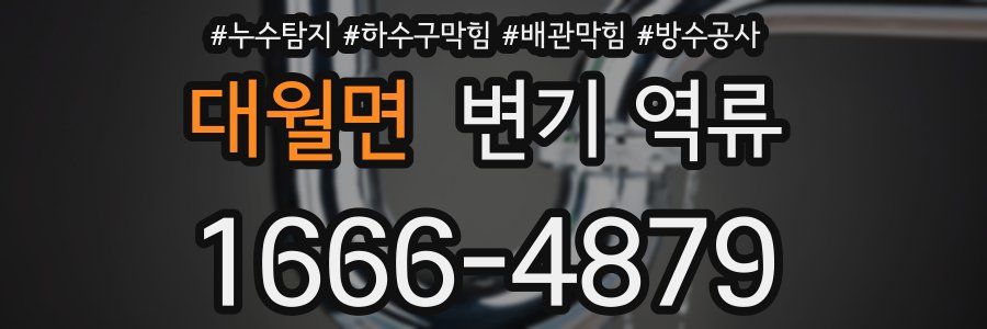 대월면 변기 역류