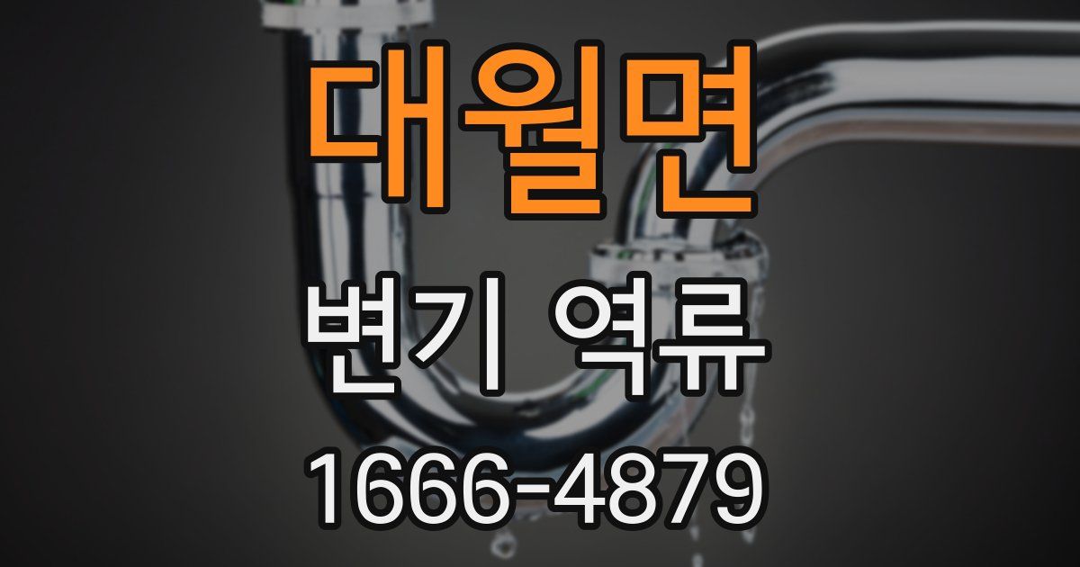 대월면 변기 역류