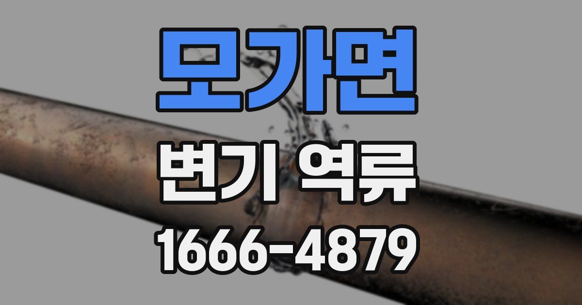 모가면 변기 역류