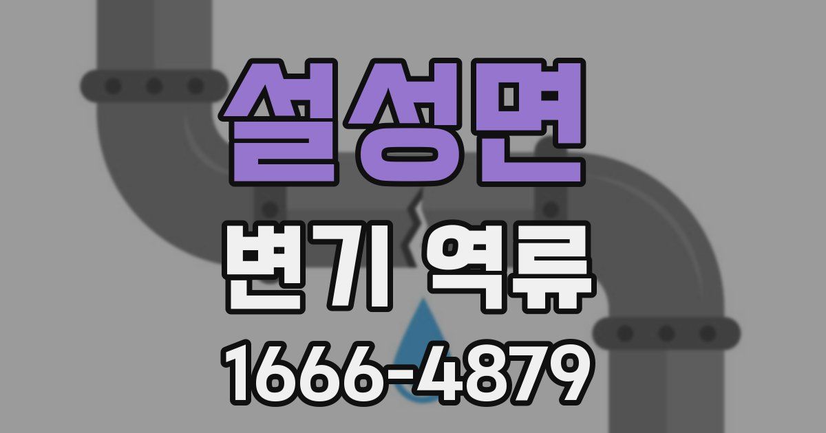 설성면 변기 역류