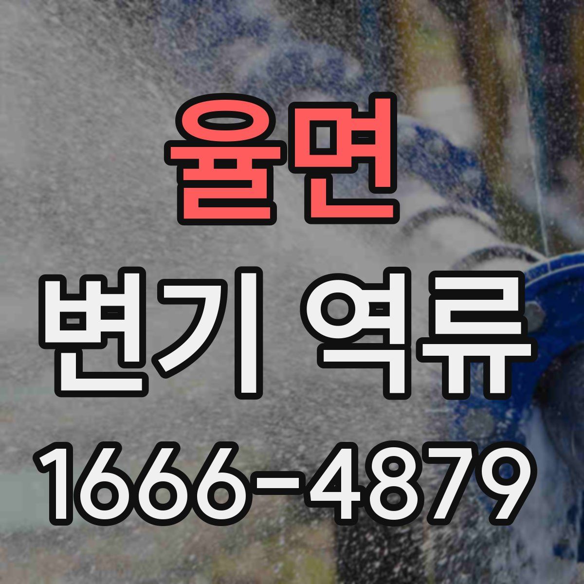 율면 변기 역류