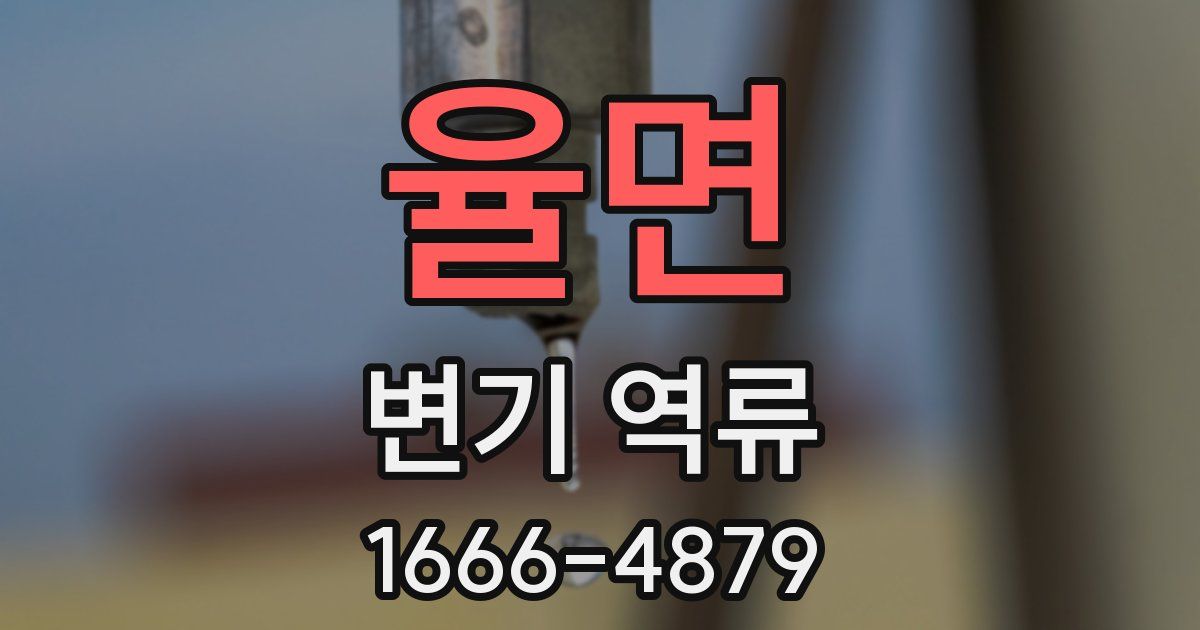 율면 변기 역류