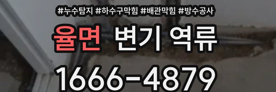 율면 변기 역류