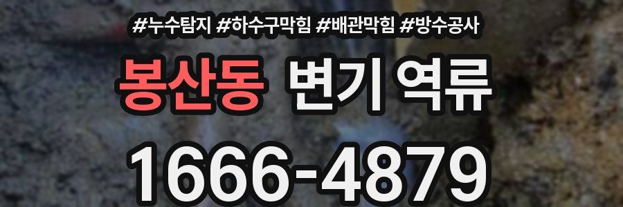 봉산동 변기 역류
